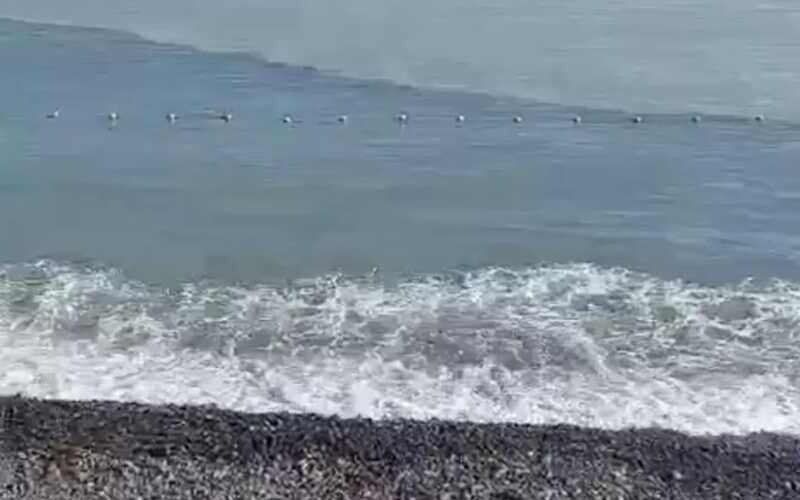 В Новороссийске мутная вода в реке считается «особенностью восприятия» местных жителей